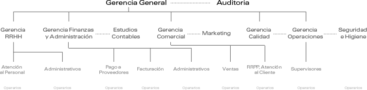 Organigrama Arrow Servicios